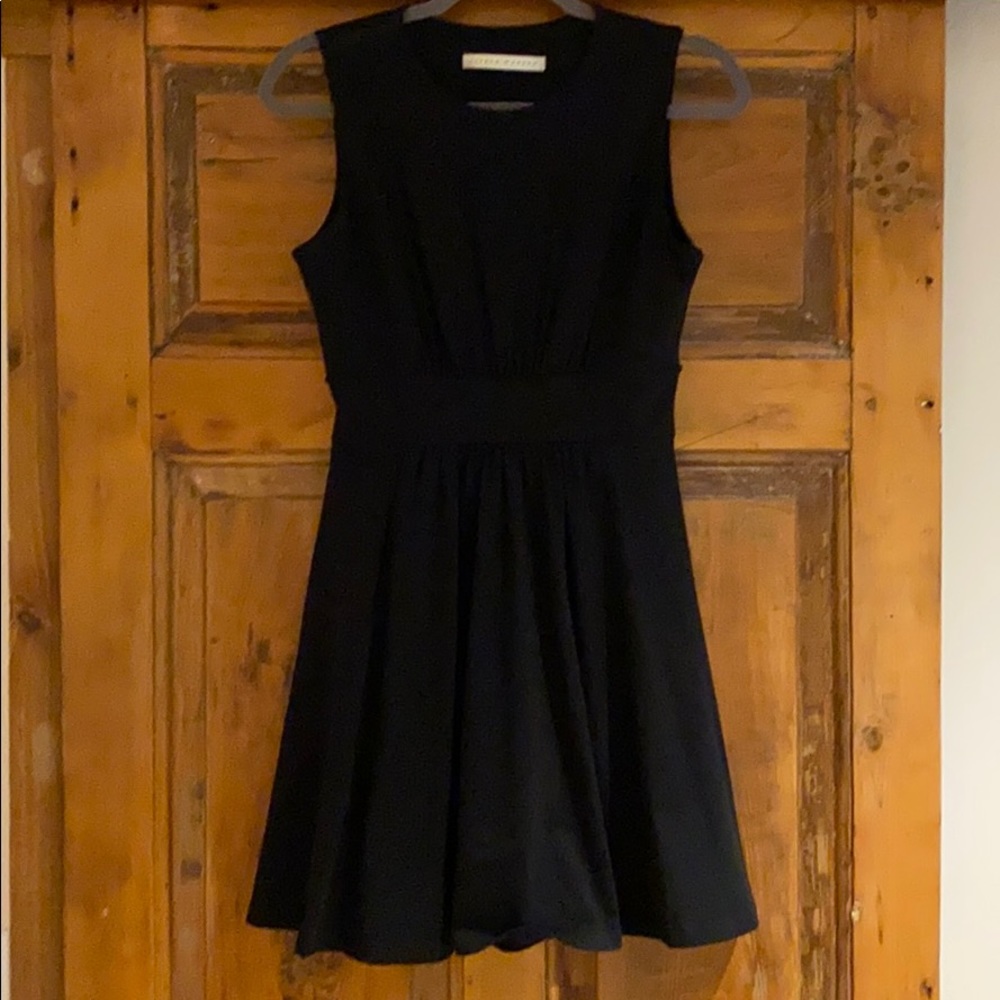Susana Monaco dress / LBD